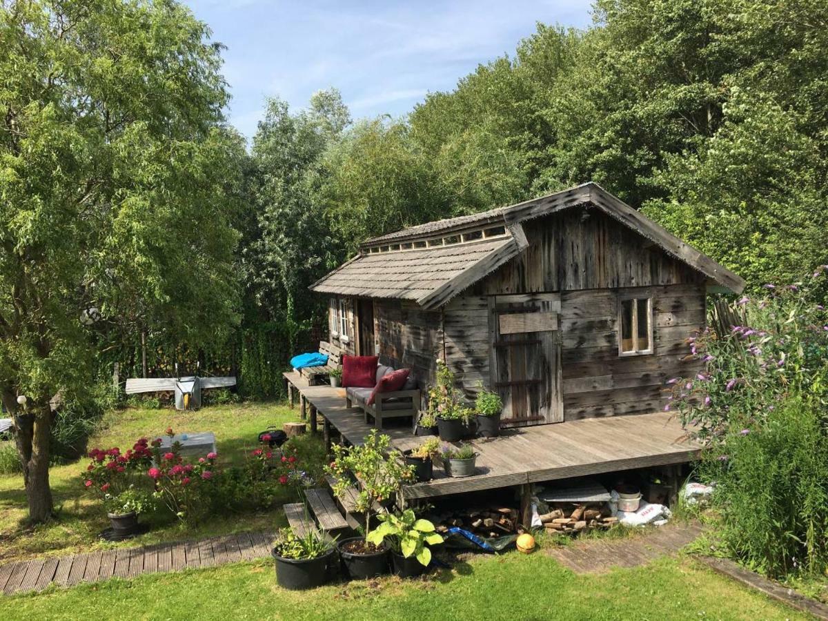 Cabin In The Green - Near Amsterdam Velsen-Zuid Extérieur photo