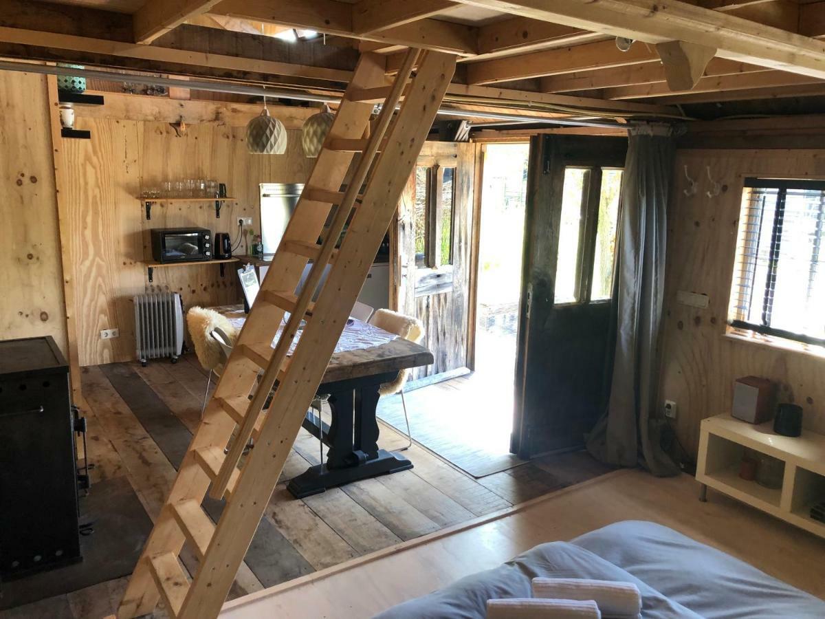 Cabin In The Green - Near Amsterdam Velsen-Zuid Extérieur photo